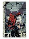 Marvel Knights Spider-Man #4 Cover: Spider-Man and Black Cat