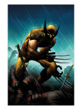 Wolverine #20 Cover: Wolverine