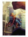 The Amazing Spider-Man #2 Cover: Spider-Man
