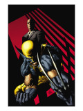 Buy X-Men: Legacy #218 Cover: Punisher at AllPosters.com