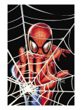 Buy Spider-Man: Brand New Day - Extra!! #1 Cover: Spider-Man Charging at AllPosters.com