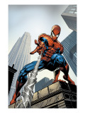 Buy Amazing Spider-Man #520 Cover: Spider-Man Swimming at AllPosters.com