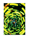 Fantastic Four #532 Cover: Human Torch