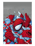 Amazing Spider-Man #565 Cover: Spider-Man