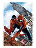 The Amazing Spider-Man #546 Cover: Spider-Man