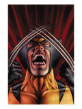 X-Men Origins: Wolverine #1 Cover: Wolverine