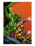 Timestorm 2009/2099 #3 Cover: Wolverine