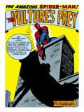 Marvel Comics Retro: The Amazing Spider-Man Comic Panel, the Vulture's Prey