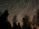 Star Trails over the Trees in Aberdeen, Scotland