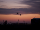 A Pair of UH-60 Black Hawk Helicopters Approach their Landing in Baghdad, Iraq