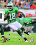 Jeremy Maclin 2010 Action