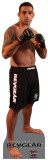 MMA Fighters - Werdum