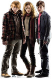 Harry Potter and the Deathly Hallows - Group - Harry, Hermoine and Ron