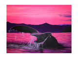 Pink Whale