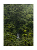 Buy Waterfall in Jungle at AllPosters.com