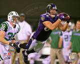 Todd Heap 2010 Action