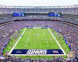 New Meadowlands Stadium 2010 (Giants)