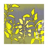 Buy Graphic Floral Four at AllPosters.com