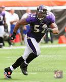 Buy Ray Lewis 2010 Action at AllPosters.com