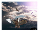 Buy Up And Away at AllPosters.com