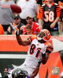 Terrell Owens 2010 Action