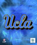 2010 UCLA Bruins Logo