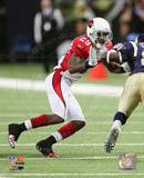 Dominique Rodgers- Cromartie 2010 Action