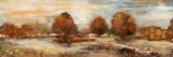 Morning Meadow II