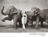 Dovima with Elephants, c.1955