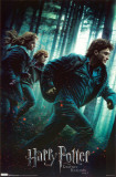 Harry Potter and the Deathly Hallows