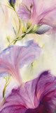 Buy Prunkwinden at AllPosters.com