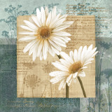 Buy Daisy Field II at AllPosters.com