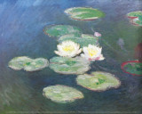 Water Lilies, Effects at the Evening