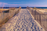 Beach - Josef Sohn Poster