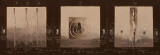 Buy Sens et Non Sens IX at AllPosters.com