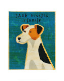 Jack Russell Terrier