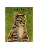 Tabby (grey)