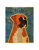 Boxer