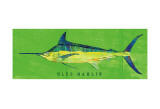 Blue Marlin