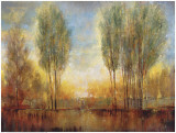 Buy Summer Solstice at AllPosters.com