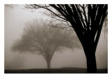 Buy Memories of Winter at AllPosters.com