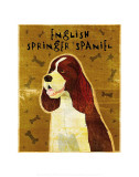 English Springer Spaniel