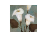 Buy Purity at AllPosters.com