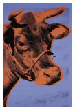Cow, c.1971 (Purple and Orange)