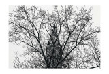 City Hall (branches)