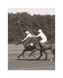 Polo In The Park III