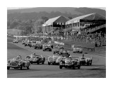 Goodwood