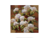 Buy Spring Sonnet at AllPosters.com