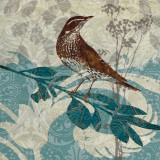 Songbird I