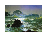 Seal Rock